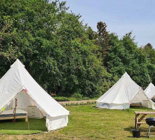 4 Meter Bell Tent - Up To 4 Persons Glamping 21