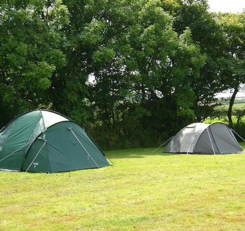 Personal Pitch Tent 6 Persons Glamping 15