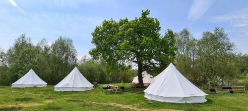 Personal Pitch Tent 6 Persons Glamping 10