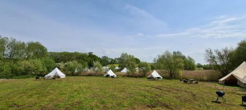 5 Meter Bell Tent - Up To 5 Persons Glamping 8