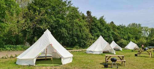 4 Meter Bell Tent - Up To 4 Persons Glamping 22