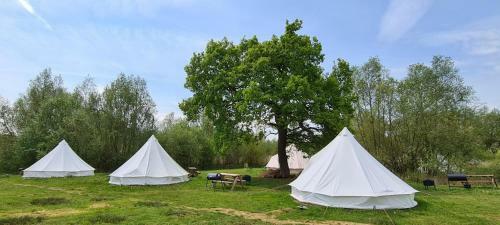 Personal Pitch Tent 6 Persons Glamping 6