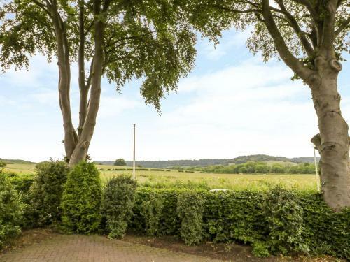 Beechwood View