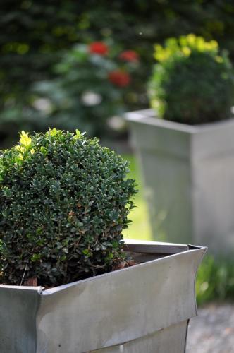 Bed & Breakfast Ch�teau D'auteuil - Chambres D'h�tes