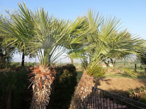 Bed And Breakfast Villa Algi