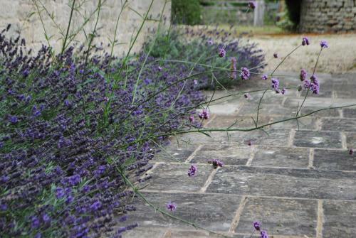 Bed & Breakfast The Watermill