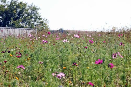 Camping Domaine Vall�e Du Tarn