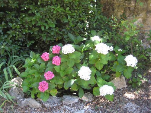Hostal Chambre D'h�tes Villaheda