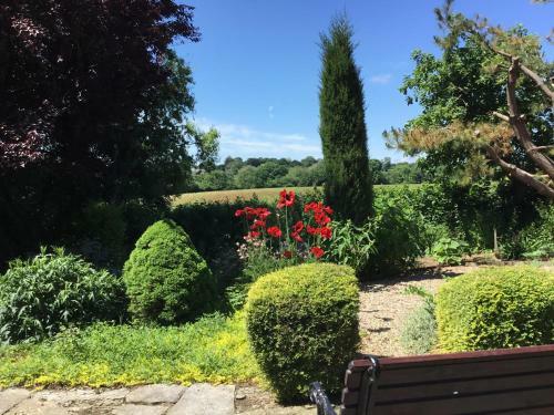 Gorse Farm House B&B