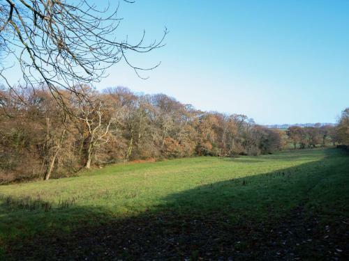 The Granary, Tavistock
