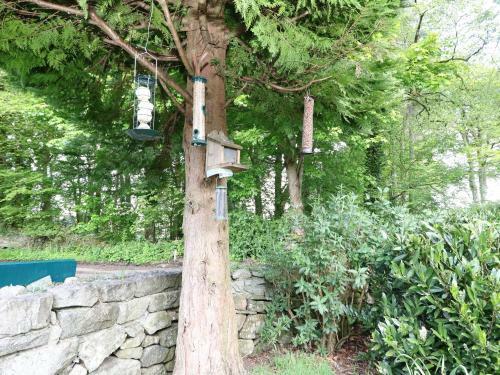Apartamento Upper Brackendale