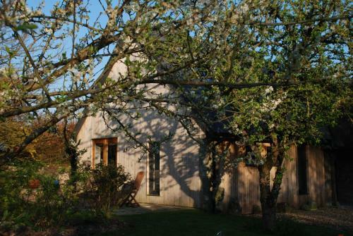 Garden Studio Spring Cottage