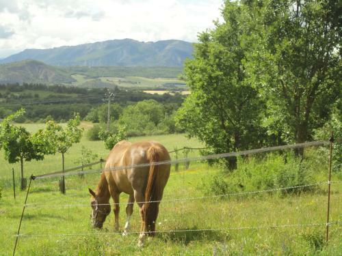 Un Gite De Charme En Haute Provence