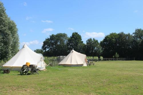 Far Acre Campsite
