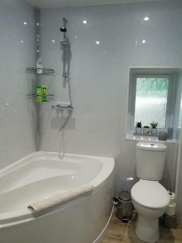Kilnknowe Apartment. Galashiels