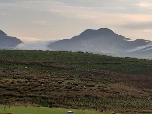 Penystryd