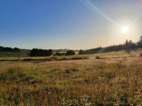 Welshhomestead