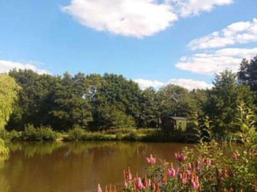 Shepherds Hut With Balcony Over Lake 'roach'