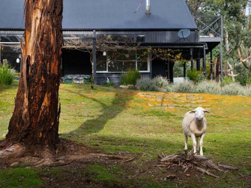 Agroturismo Edessa Lodge