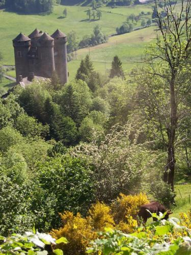 Hotel Auberge De Tournemire - Cantal