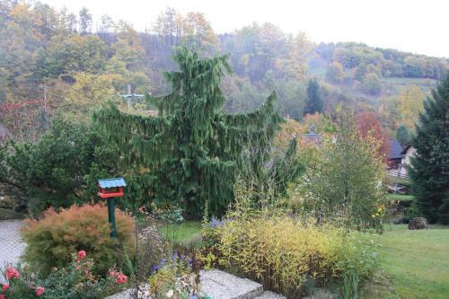 Gite Bellevue