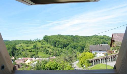 G�te Schlitteur Et Sapiniere