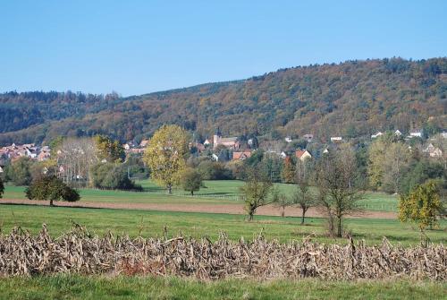 Bed & Breakfast Chambres D'h�tes Les Vignes