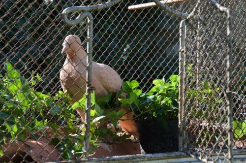 Bed & Breakfast La Petite Aiguebonne