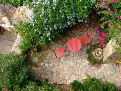 Apartamento Les Geckos