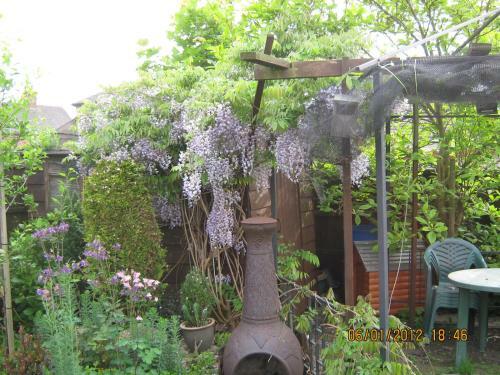Bed & Breakfast 24 Fairfield Road