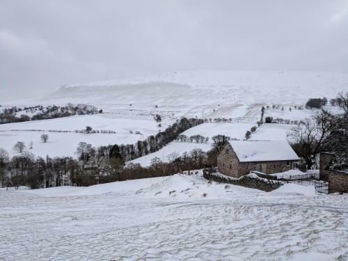 The House In The Hills