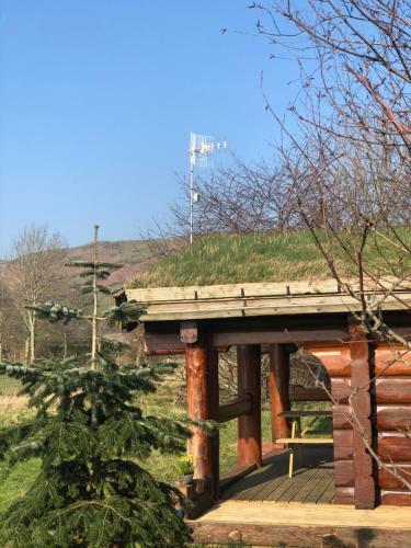 Lodge Log Home Village