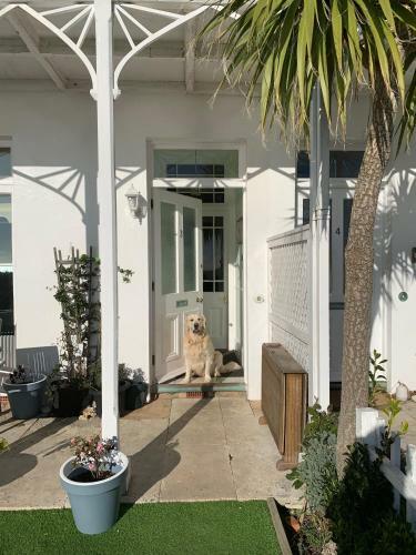 Bed & Breakfast Ventnor Bay House