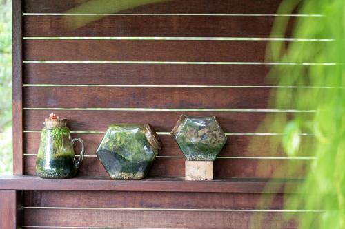 Refreshing Rainforest Retreat / Kangaroo Valley