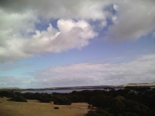 Wallaby Retreat