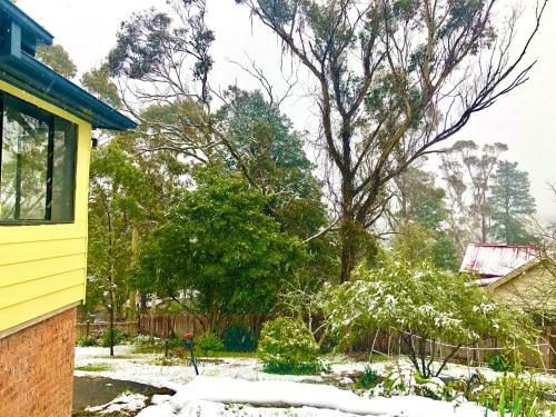 Daffodil Cottage