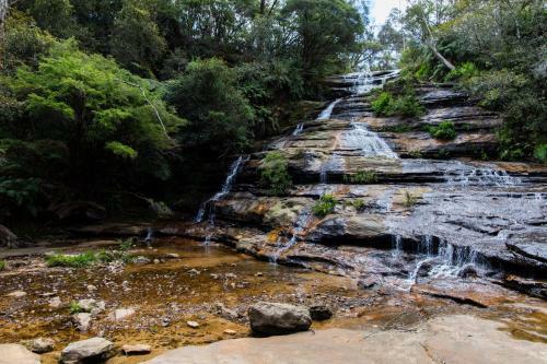 Wildlife Lodge Katoomba