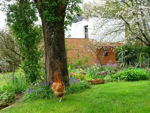 Bed & Breakfast Le Jardin Aux Oiseaux