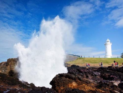 Peaceful Seaside Villa / Kiama