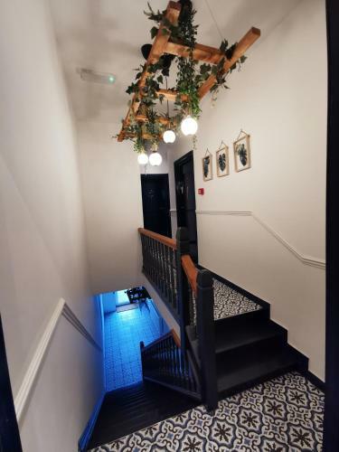 Hostal Flamingo Lodge