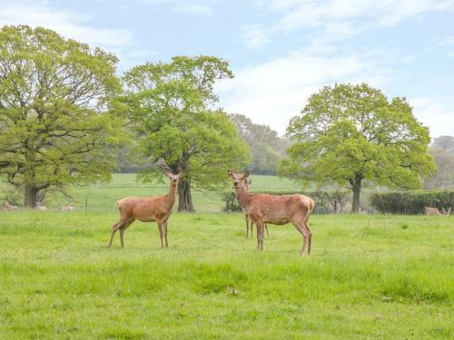 Bush Farm Annexe