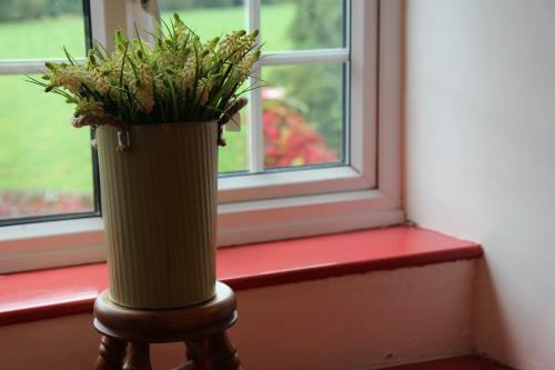 Wonderfully Scenic And Comfortable Dales Mill Property
