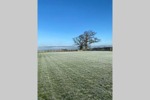 Prospect Perch - Studio Apartment, Wells