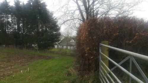 Moo Cottage