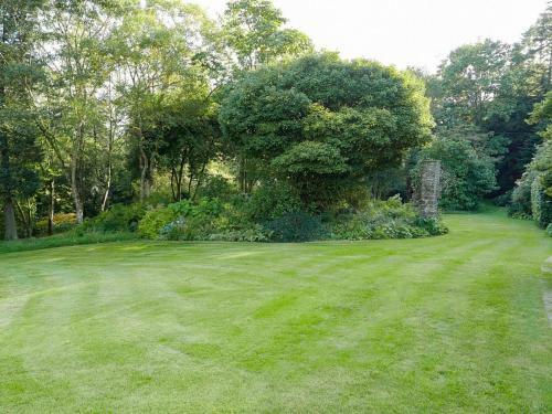 Woodland View