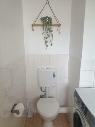 Apartamento King's Paradise Tower