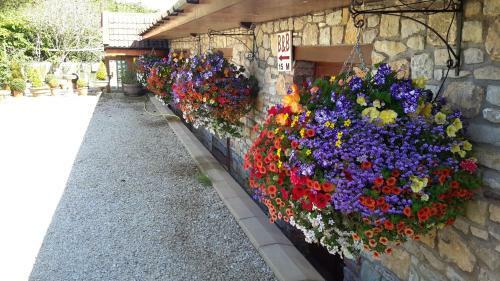 Hostal Bridge Farm Guesthouse Rooms