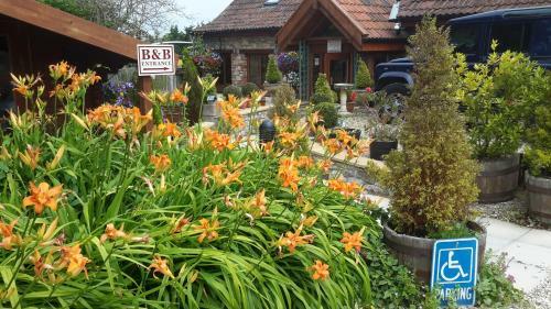 Hostal Bridge Farm Guesthouse Rooms