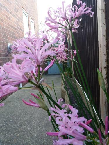 Lazy Days Cottage