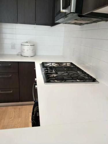2 Bed/bath Apartment Near Richmond Centre Station